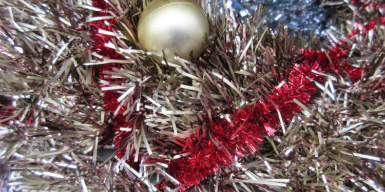 Яка погода буде у Запоріжжі 25, 26, 27 грудня  | Новости Запорожья