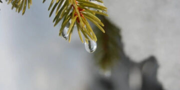 Якою буде погода на Черкащині в останні дні цього року