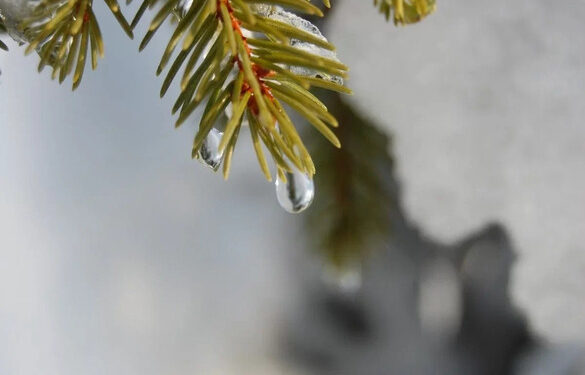 Якою буде погода на Черкащині в останні дні цього року