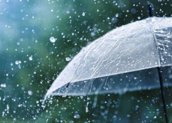 Якою буде погода у Запоріжжі – прогноз від синоптиків  | Новости Запорожья