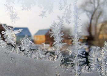 Якою буде погода у Запоріжжі – що прогнозують синоптики | Новости Запорожья