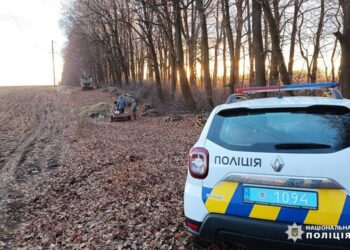 На Черкащині троє чоловіків незаконно вирубували дерева у лісосмузі