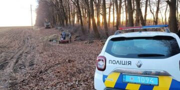 На Черкащині троє чоловіків незаконно вирубували дерева у лісосмузі