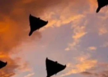 На Херсонщині українські військові знищили три російських безпілотники