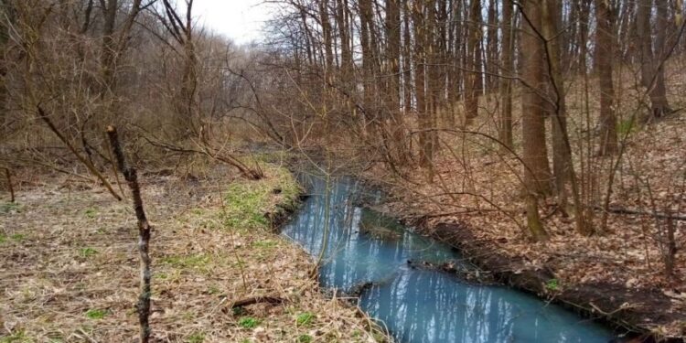 На Полтавщині з’являться два нові заказники