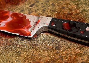 На Шепетівщині жінка вбила чоловіка під час застілля —Хмельнитчина