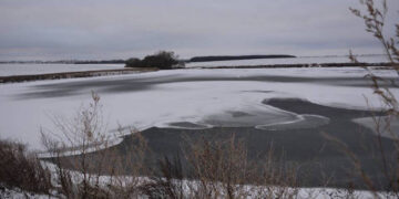 На Житомирщині громаді повернули став вартістю 89 мільйонів гривень: незаконна оренда | Журнал Житомира
