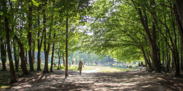 П’ять заказників на Полтавщині хочуть розширити