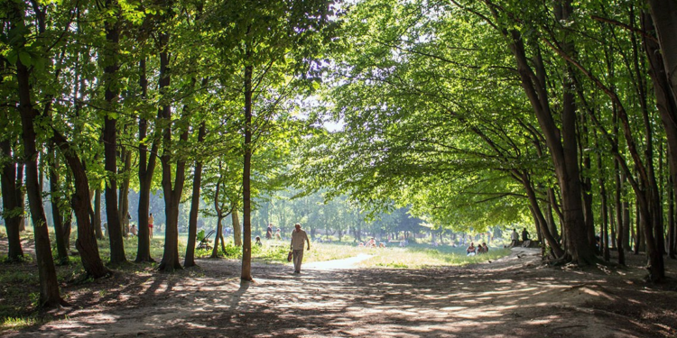 П’ять заказників на Полтавщині хочуть розширити