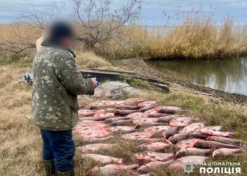 Поліцейські Одещини затримали чоловіка за виловлення риби на 300 тисяч з найбільшого озера України