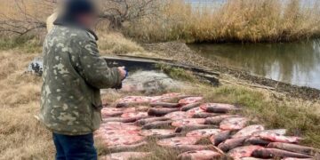 Поліцейські Одещини затримали чоловіка за виловлення риби на 300 тисяч з найбільшого озера України