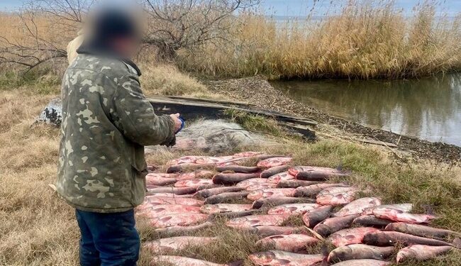 Поліцейські Одещини затримали чоловіка за виловлення риби на 300 тисяч з найбільшого озера України
