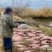 Поліцейські Одещини затримали чоловіка за виловлення риби на 300 тисяч з найбільшого озера України