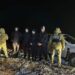 Прикордонники затримали на Одещині четвірку ухилянтів