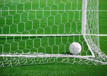 Сербия согласилась провести спарринг с Россией