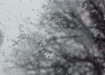 Тепло та опади: якою буде погода на Черкащині цього тижня