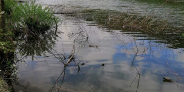 Тернопільська прокуратура вимагає повернути земельну ділянку зі ставками вартістю майже півмільярда громаді | Терміново новини Тернополя