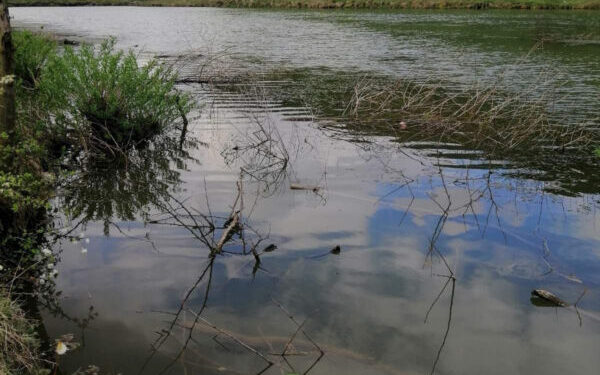 Тернопільська прокуратура вимагає повернути земельну ділянку зі ставками вартістю майже півмільярда громаді | Терміново новини Тернополя