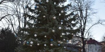 У Бучачі сперечаються через міську новорічну ялинку