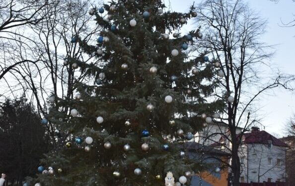 У Бучачі сперечаються через міську новорічну ялинку