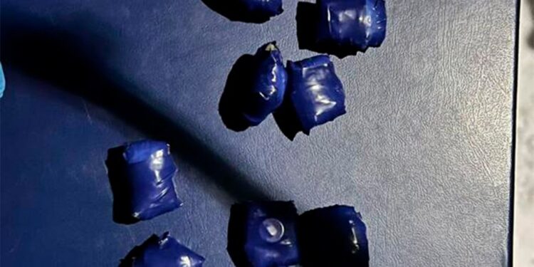 У Кропивницькому поліцейські затримали чоловіка, який робив закладки наркотиків. ФОТО |  – Новини Кропивницького і Кіровоградщини