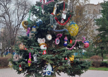 У Шевченківському районі прикрасили ялинку до зимових свят, фото – іграшки для неї робили діти | Новости Запорожья