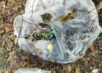 У Запоріжжі перевірили власників магазину – подробиці від інспекції з благоустрою  | Новости Запорожья