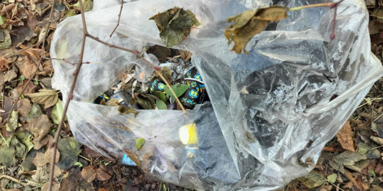 У Запоріжжі перевірили власників магазину – подробиці від інспекції з благоустрою | Новости Запорожья