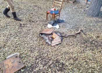 У Запоріжжі штрафують паліїв сміття та листя – подробиці перевірок  | Новости Запорожья