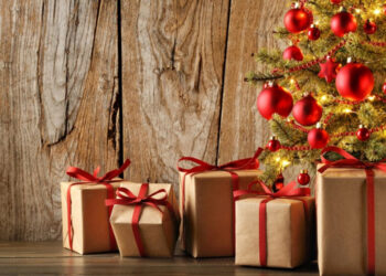 У Запоріжжі збирають подарунки для стареньких у притулок – благодійна акція | Новости Запорожья