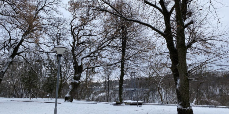 У Житомирі та області небезпечні метеорологічні явища: І рівень небезпеки | Журнал Житомира