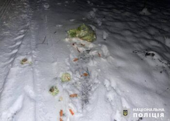 Водію, який збив дівчинку на Звенигородщині, обрали запобіжний захід