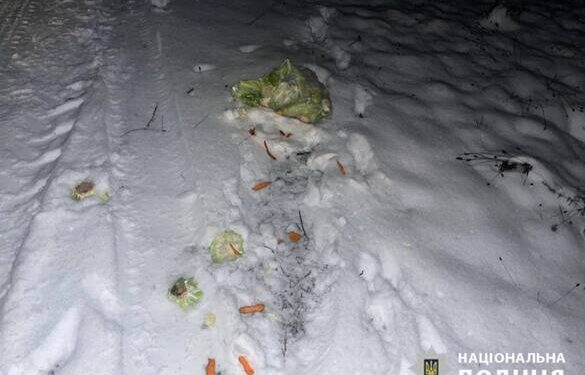 Водію, який збив дівчинку на Звенигородщині, обрали запобіжний захід