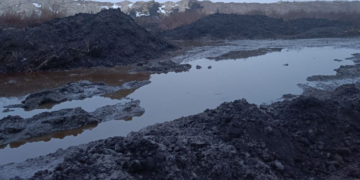 Забруднення ґрунтів цукрозаводом на Полтавщині розслідують