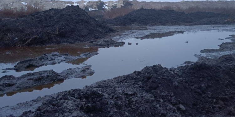 Забруднення ґрунтів цукрозаводом на Полтавщині розслідують