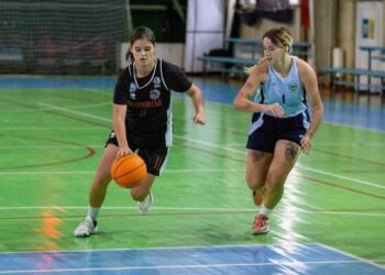 Жіноча Вища ліга: анонс матчів 8-11 грудня – Федерація баскетболу України