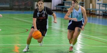 Жіноча Вища ліга: анонс матчів 8-11 грудня – Федерація баскетболу України