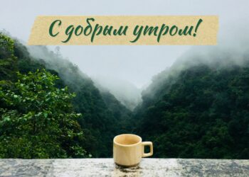 Популярный информационный портал “Пресса Украины” рад сообщить о запуске нового раздела