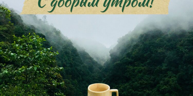 Популярный информационный портал “Пресса Украины” рад сообщить о запуске нового раздела