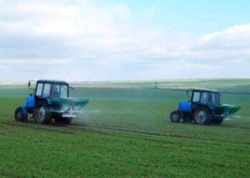 Названо особливості основного підживлення озимих зернових – ЭКОНОМИКА