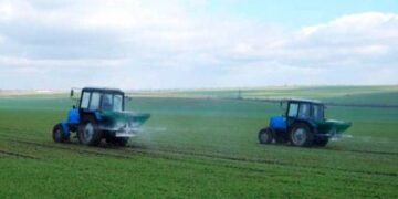 Названо особливості основного підживлення озимих зернових – ЭКОНОМИКА