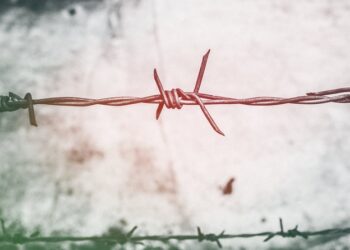 2000 доларів США за перетин кордону: на Буковині судитимуть жителя Миколаївщини