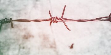 2000 доларів США за перетин кордону: на Буковині судитимуть жителя Миколаївщини