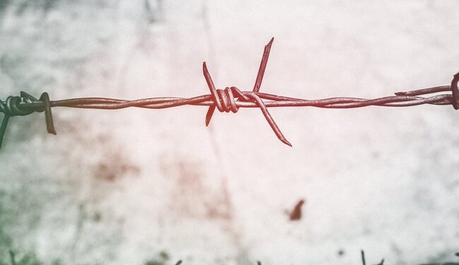 2000 доларів США за перетин кордону: на Буковині судитимуть жителя Миколаївщини