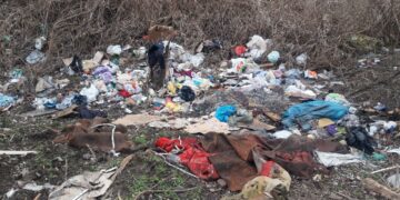 Засмічення біля Мокрої Московки: екоінспекція вимагає ліквідувати | Новини Запоріжжя