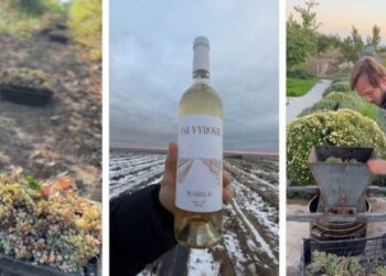 На Миколаївщині з’явився новий крафтовий виробник – ЭКОНОМИКА