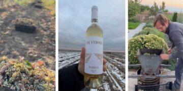 На Миколаївщині з’явився новий крафтовий виробник – ЭКОНОМИКА