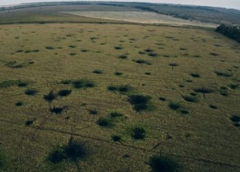 В Україні розмінували і повернули аграріям понад 200 тис. га земель – ЭКОНОМИКА