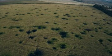 В Україні розмінували і повернули аграріям понад 200 тис. га земель – ЭКОНОМИКА