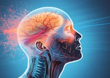 Як людський мозок може конкурувати зі штучним інтелектом? — ТЕХНОЛОГИИ